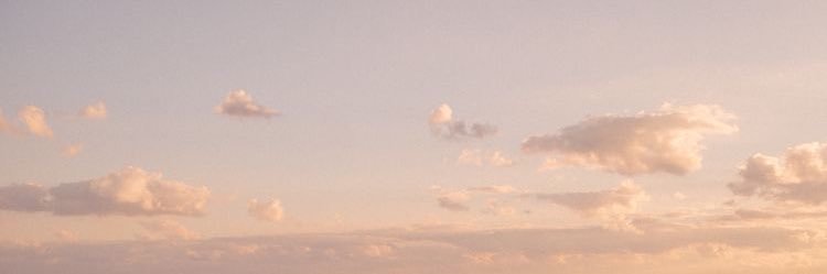 1 banner