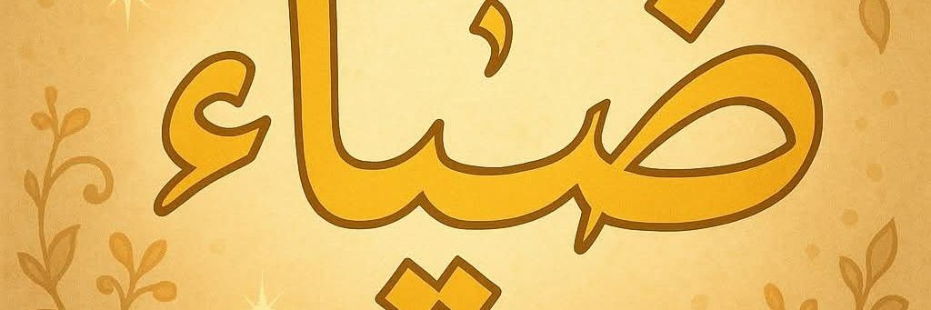 Hajdhia's profile banner image