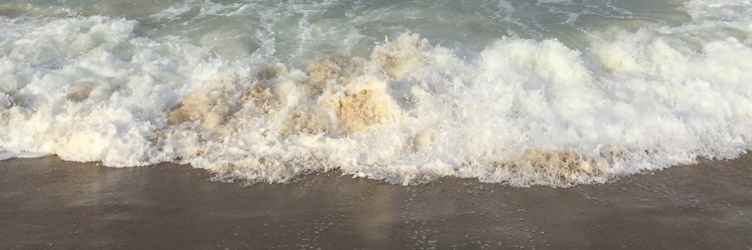 Martha Willey banner