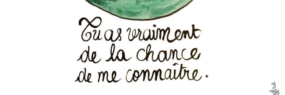 chaton poney 🦕 banner