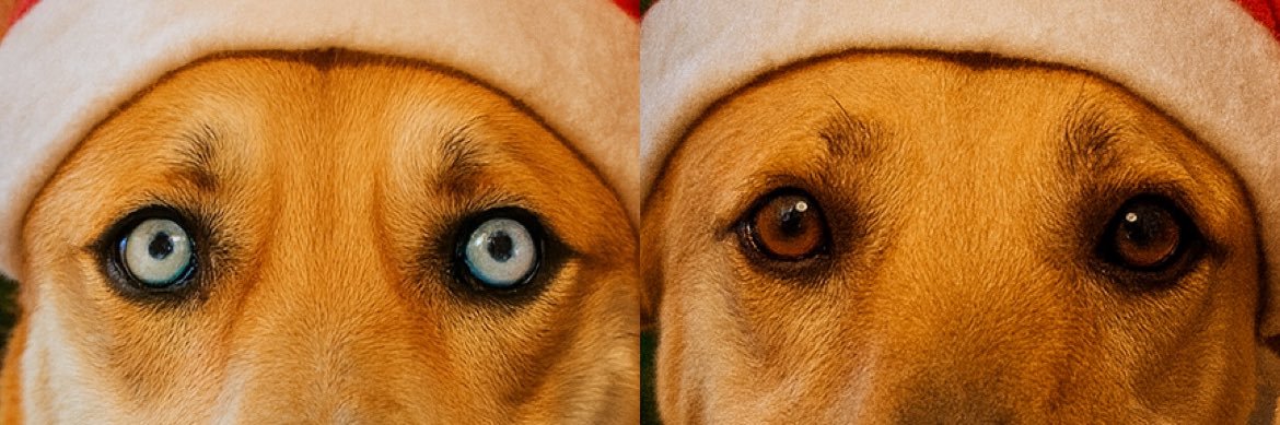 _claracostta's profile banner image