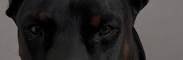 celixcsz's profile banner image