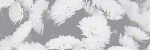 GingerEvans_'s profile banner image