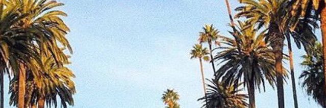 lilwhitealien's profile banner image
