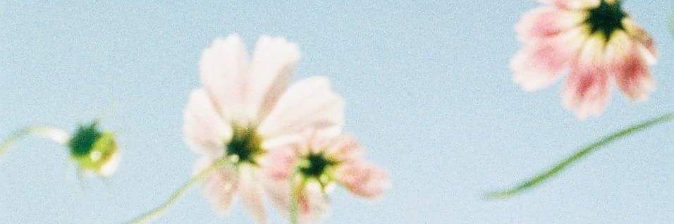 naojune10's profile banner image