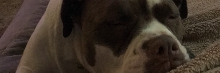 jorychaney08's profile banner image