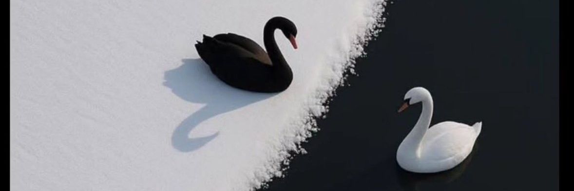 Lll_a banner