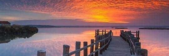 Ralph Gardner banner