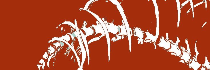 optimtronic's profile banner image