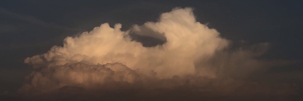 theonlyF's profile banner image