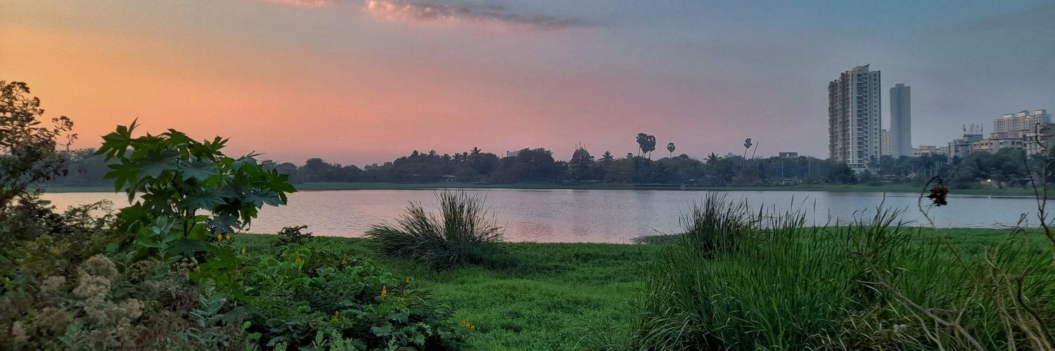 singerjamuna's profile banner image