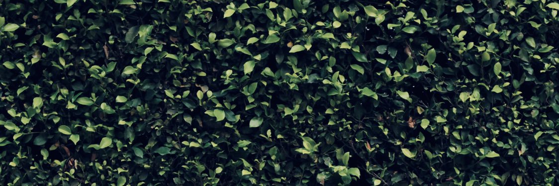 ChrissyAi's profile banner image