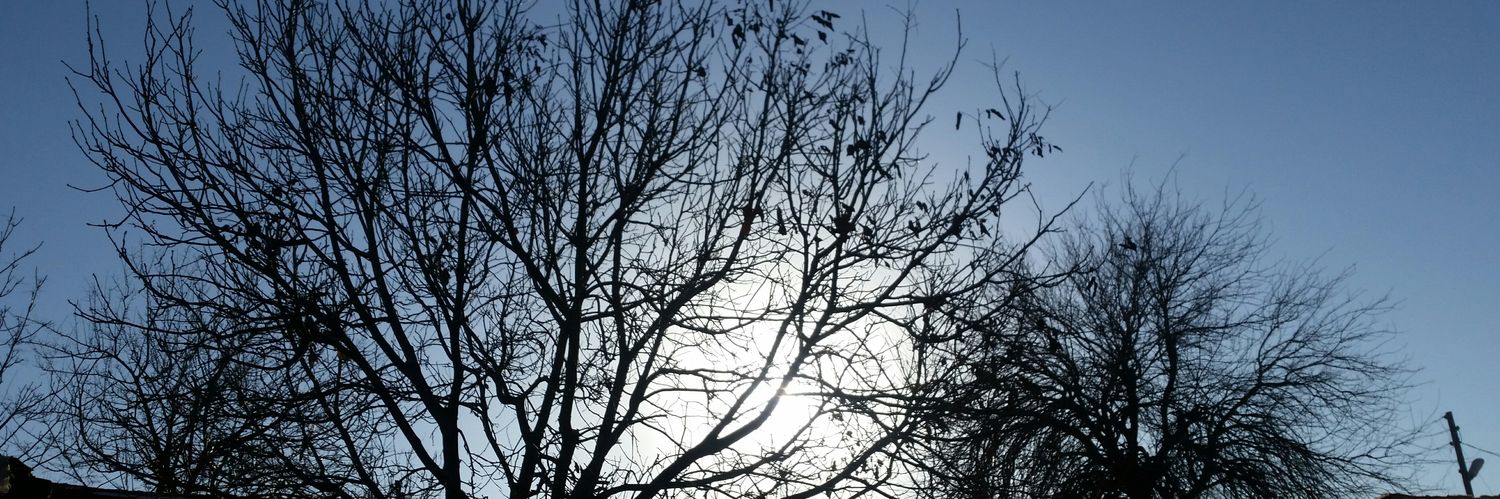 Mucahid1111's profile banner image