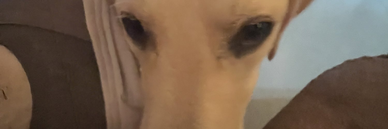 BrandonJL___'s profile banner image