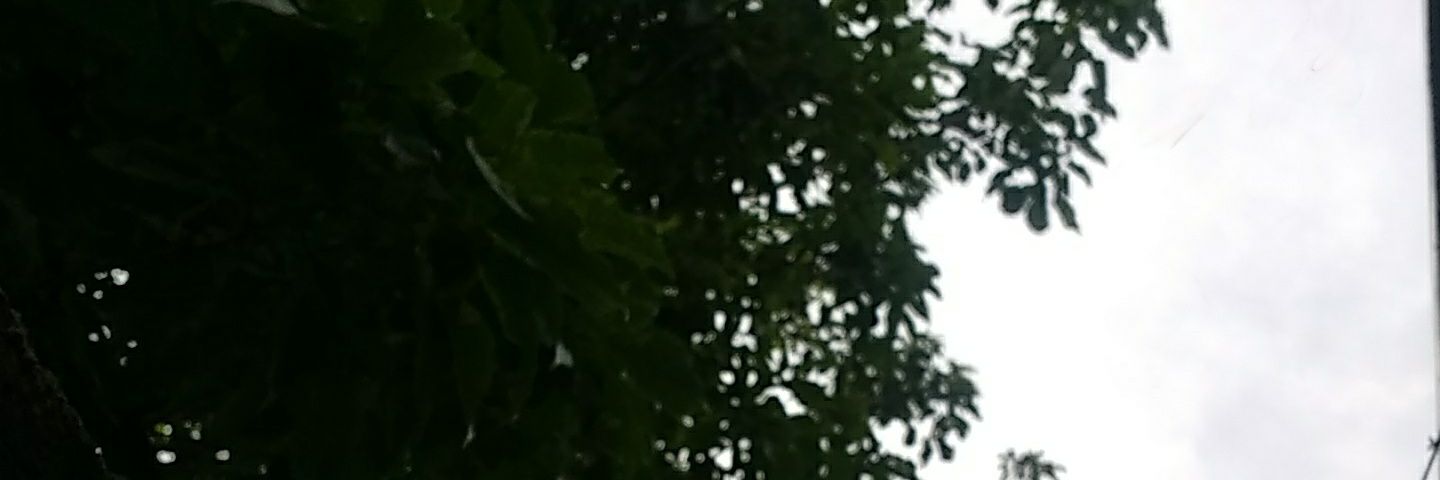 WatchXXX's profile banner image