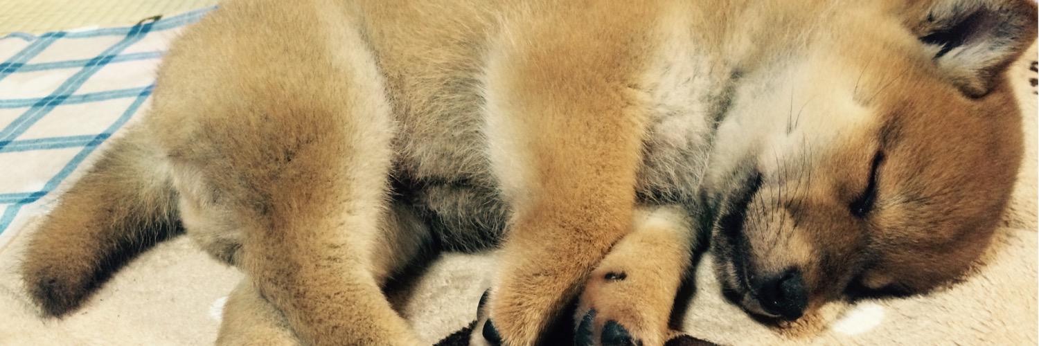 chanfuuu07's profile banner image