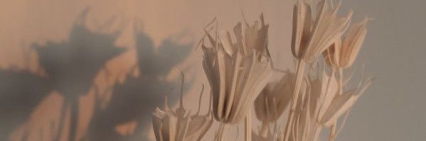 chloebown96's profile banner image
