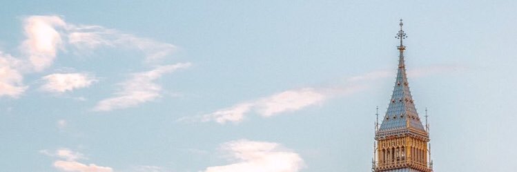 twingle☆•° banner