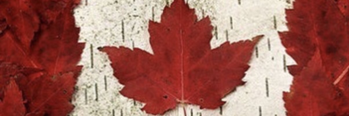 SeanKJ's profile banner image