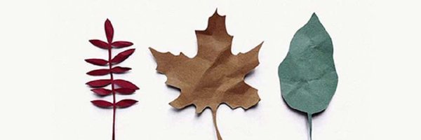 akstalder Profile Banner