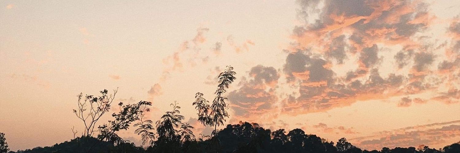 ppassarat's profile banner image