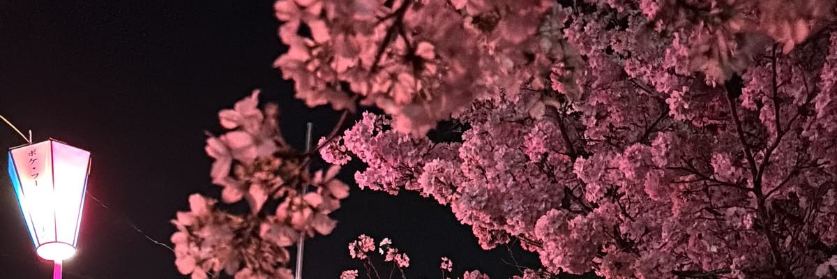 rawan_osm7's profile banner image