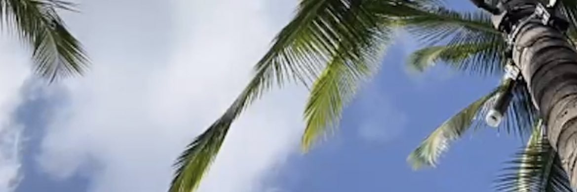 Twitter banner for @sujaaata