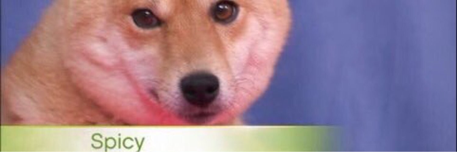 POTUSEMiLiA's profile banner image