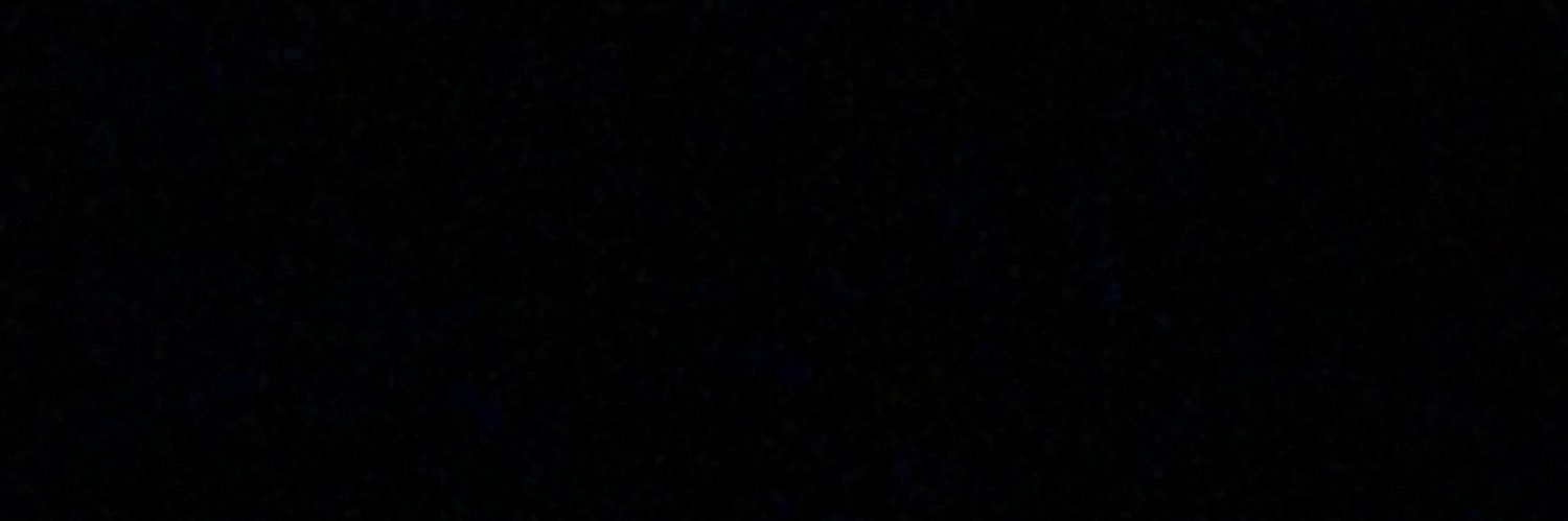 f8rina's profile banner image