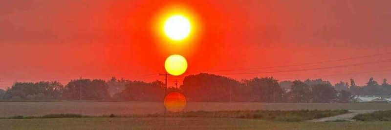 MarieWhitmire's profile banner image
