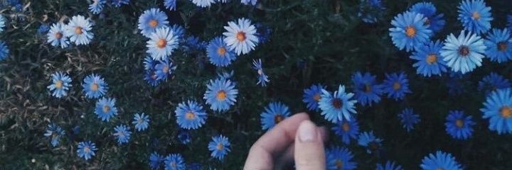 maihh_agg's profile banner image