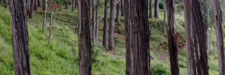 oven_head's profile banner image