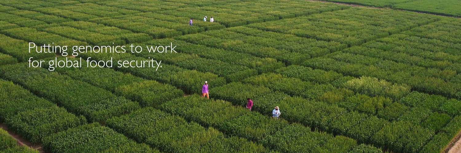 Wheat Genomics Lab banner