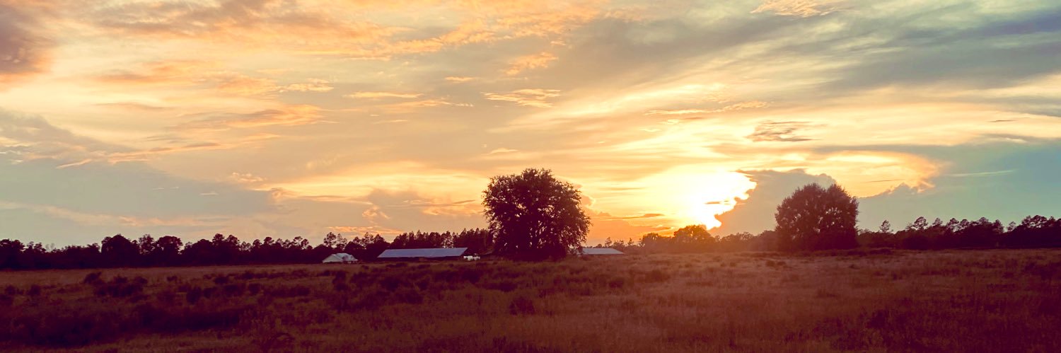 AutumnPatrick_'s profile banner image