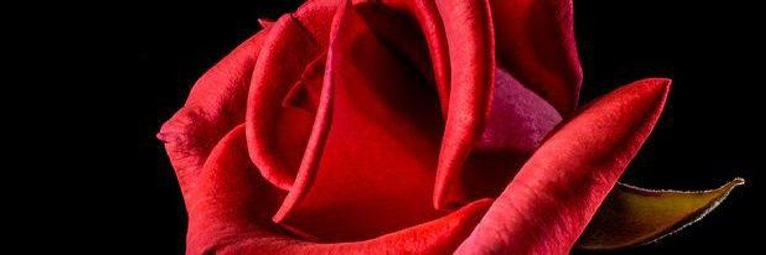 chansen1_chris's profile banner image