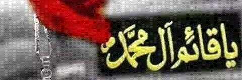 tarazaidi9's profile banner image