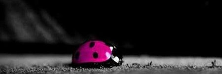 Im_sweeTsis's profile banner image