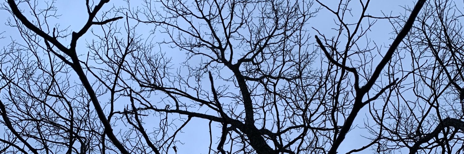 madisonsandersp's profile banner image