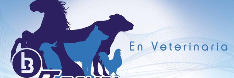brovel_lab's profile banner image