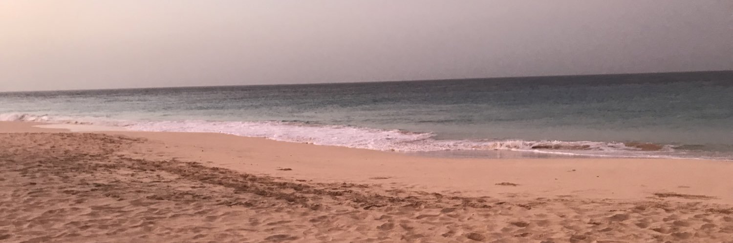 leysheth's profile banner image