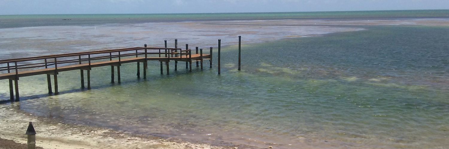 dkruxm's profile banner image