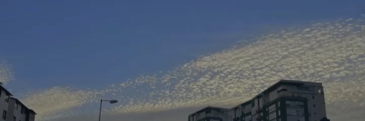 Danna_SRB's profile banner image