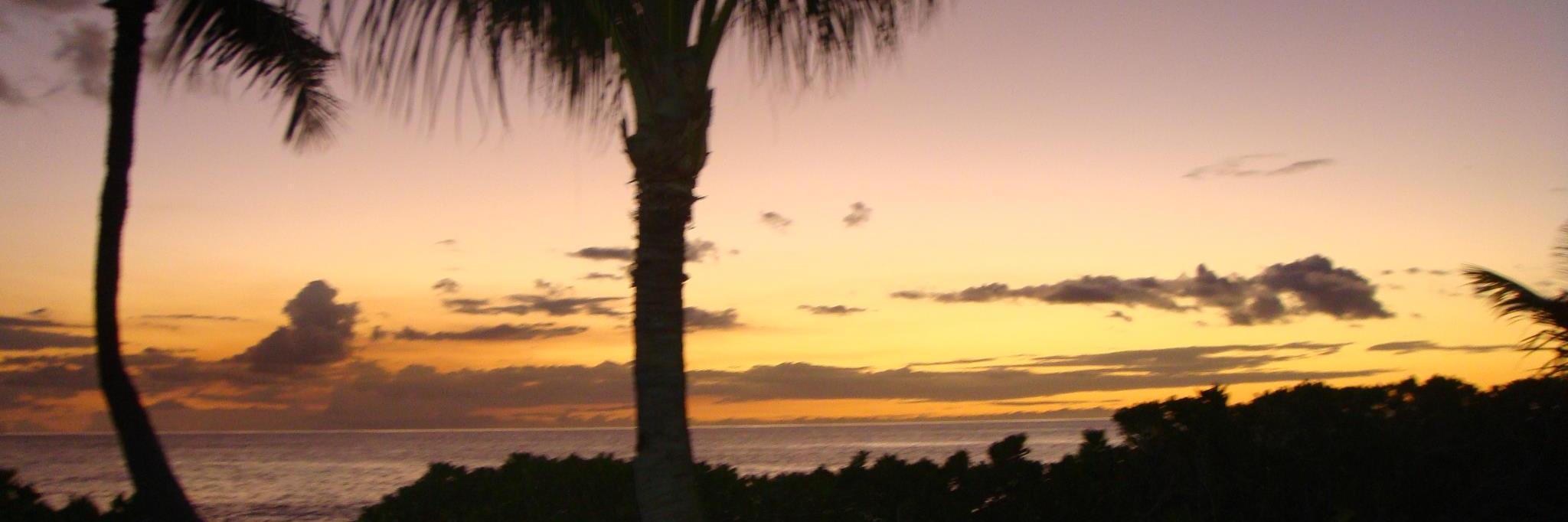 chrismsydney's profile banner image