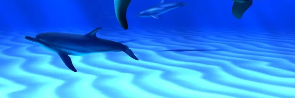 seelocanth's profile banner image