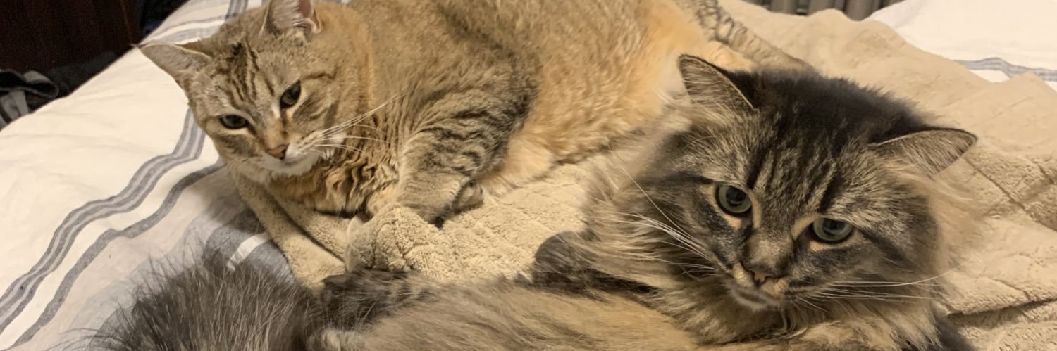 verycoolsam's profile banner image