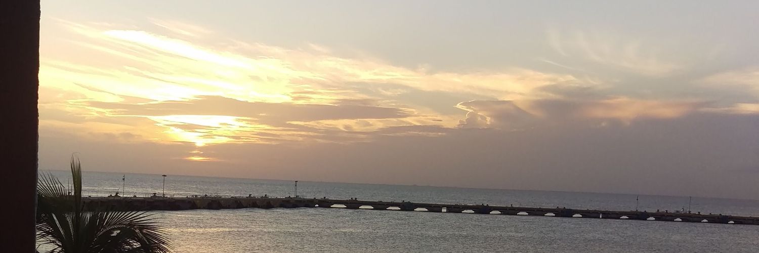 Ferni451's profile banner image