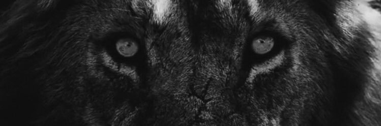Its_me_Turbo's profile banner image