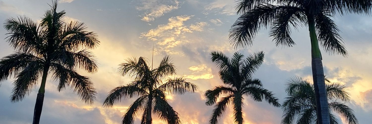 fermisael014's profile banner image