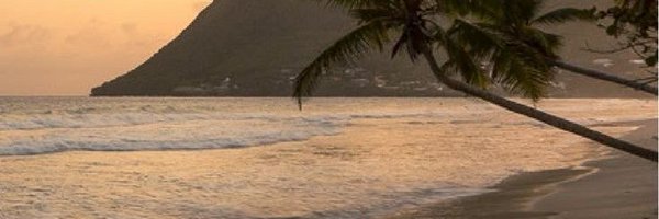 oldfileles Profile Banner