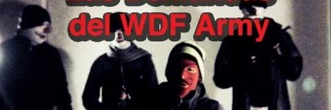 fandewdfshow29's profile banner image